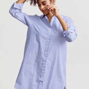 Small the Shirt by Rochelle Behrens Blue and White Striped shirtdress